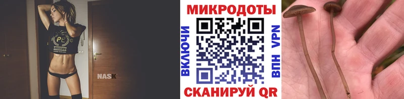 Псилоцибиновые грибы GOLDEN TEACHER Тейково
